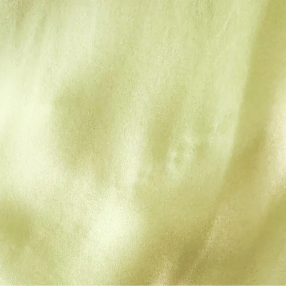 Reformation Erdem Silk Dress Midi Yucca Green Size Small - Picture 6 of 10